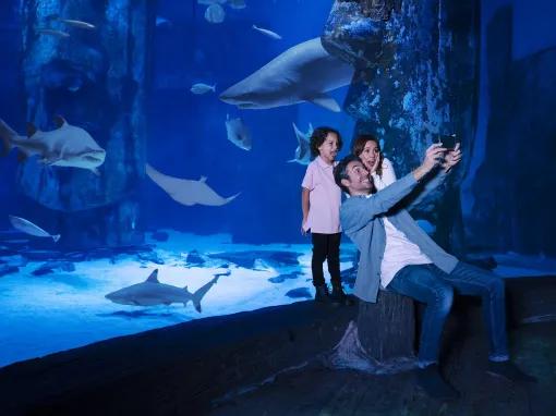 Family photo in front of the shark tank at SEA LIFE London Aquarium.jpg