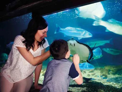 Mother and Son at SEA LIFE London Aquarium