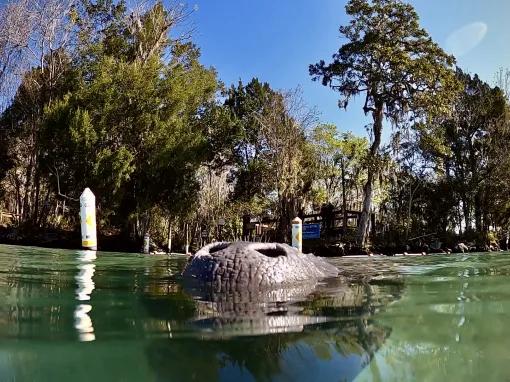 The Real Florida Adventure