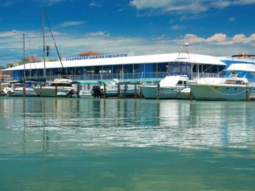 Small Group Clearwater Beach and Marine Aquarium