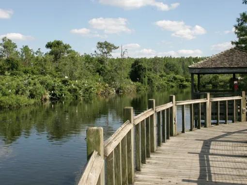 Breeding marsh walkway at Gatorland in Florida