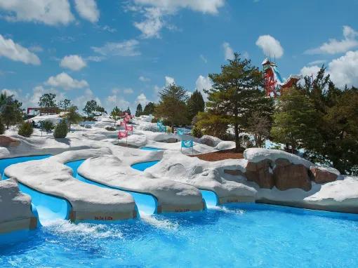 Snow Stormers Water Slides at Disney's Blizzard Beach