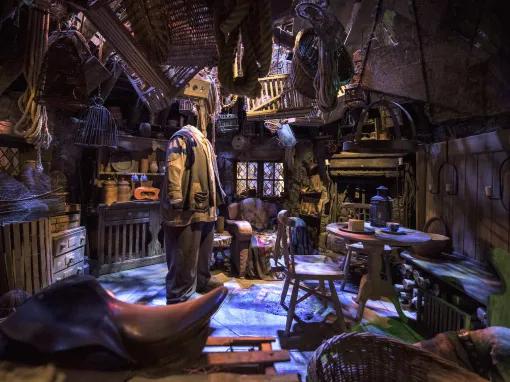 Hagrids Hut at the Warner Bros. Studio Tour London