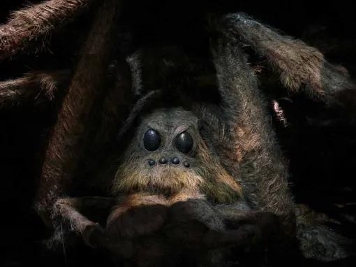 Aragog at the Warner Bros. Studio Tour London