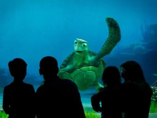 Turtle Talk with Crush at Epcot