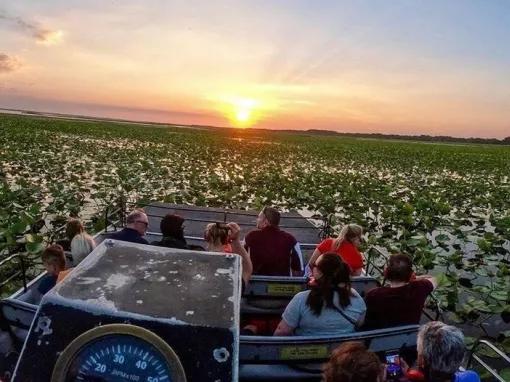 Guests enjoying the natural beauty of the Central Florida Everglades on a Boggy Creek Orlando Airboat Ride