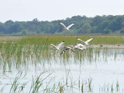 Unspoilt lake at Boggy Creek Orlando