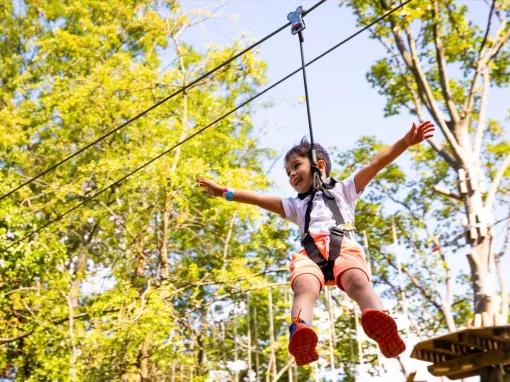 Go Ape Gift Experience Vouchers