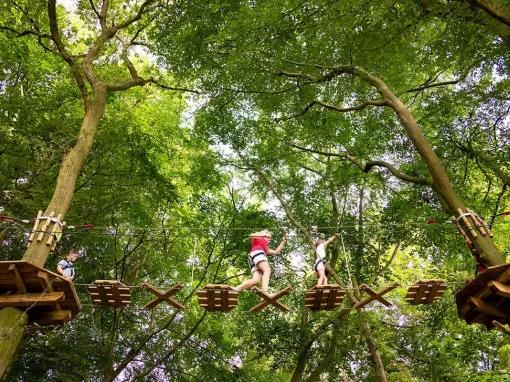 Go Ape Gift Experience Vouchers