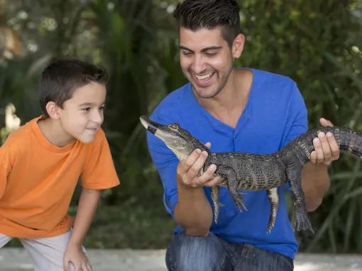 Guests holding a baby alligator at Wild Florida Gator Park