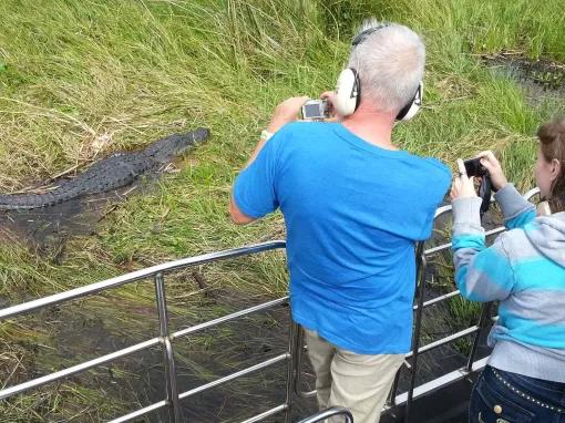 Couple photographing an alligtor on a Wild Florida Airboat ride