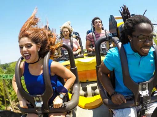 Guests on Cheetah Run at Busch Gardens Tampa Bay