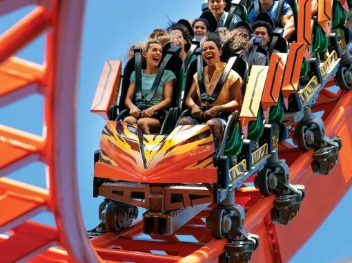 Tigris Rollercoaster at Busch Gardens Tampa Bay