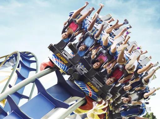 Montu Rollercoaster at Busch Gardens Tampa Bay
