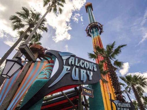 Falcons Fury at Busch Gardens Tampa Bay
