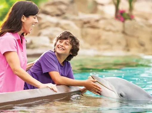 Mother and son interacting with Dolphins at SeaWorld Orlando