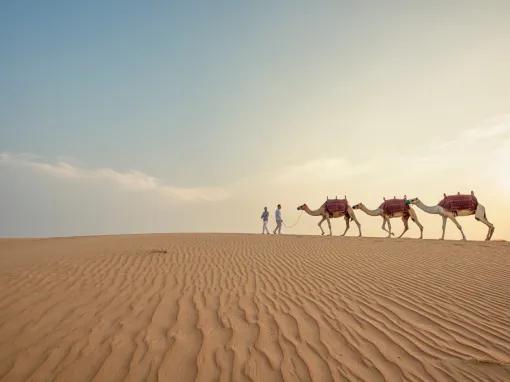 Dubai Desert Safari and Sunset Barbecue 
