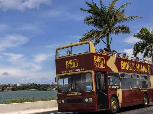Big Bus Miami Hop-on Hop-off 1-day tour