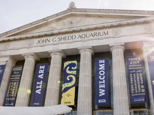 Shedd Aquarium
