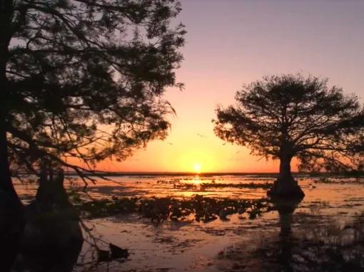 Boggy Creek Sunset Airboat Tour