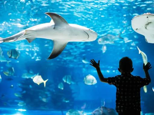 Go City Philadelphia 