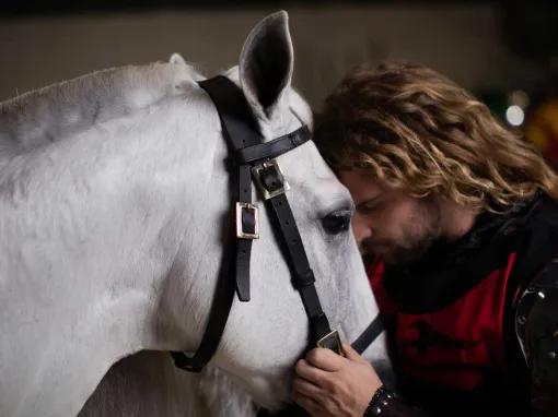 A knight and a horse touching heads at Medieval Times Orlando Dinner Show & Tournament