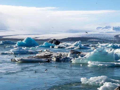 South Coast & Jökulsárlón Glacier Lagoon