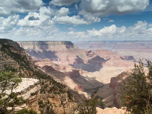 Grand Canyon South Rim Coach 