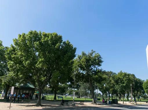 Mall & Monuments by Electric Car