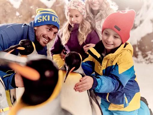 Ski Dubai - Peng-friend Encounter