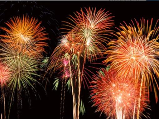 4th of July Fireworks Flight