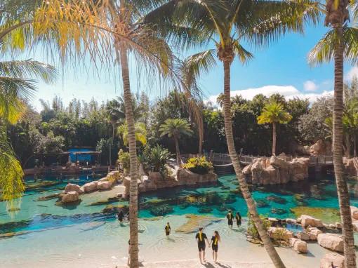 Discovery Cove in Orlando