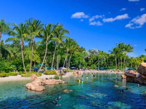 Discovery Cove in Orlando