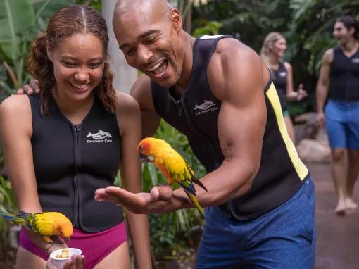 Guest interacting with tropical birds within Explorer's Aviary at Discovery Cove