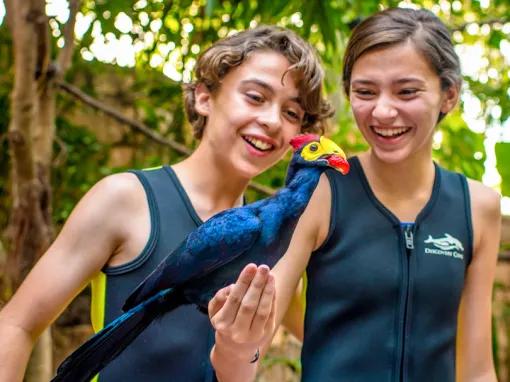 Guest interacting with tropical birds within Explorer's Aviary at Discovery Cove