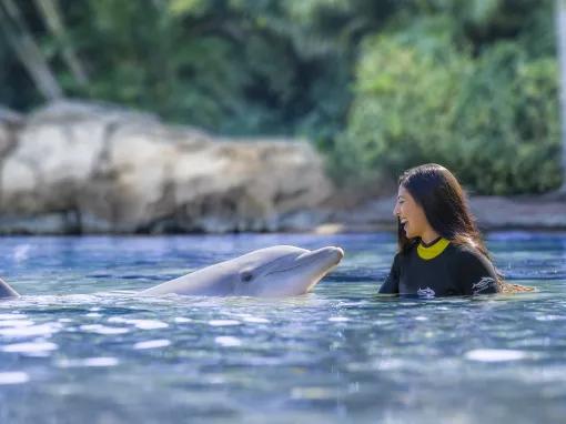 Guest interacting with a Dolphin at Discovery Cove