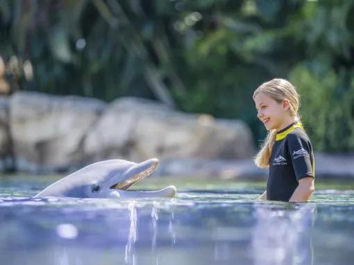 Guest interacting with a Dolphin at Discovery Cove