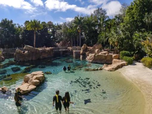 Discovery Cove in Orlando