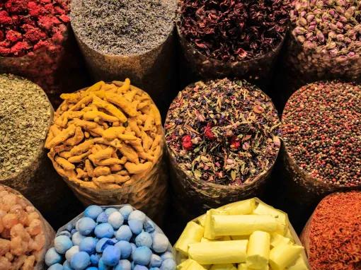 Discover the sights of Dubai on a Dubai City Tour accompanied by a knowledgeable local guide