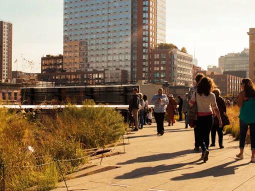 Highlights of the High Line