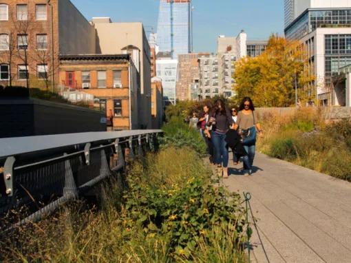 Highlights of the High Line