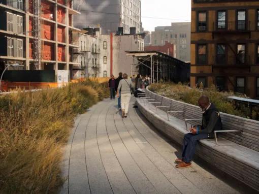 Highlights of the High Line