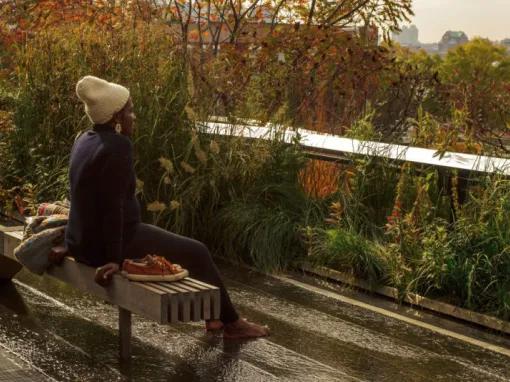 Highlights of the High Line