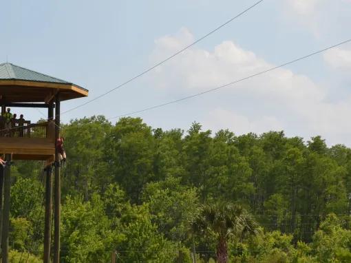 Screamin Gator Zip Line at Gatorland Orlando