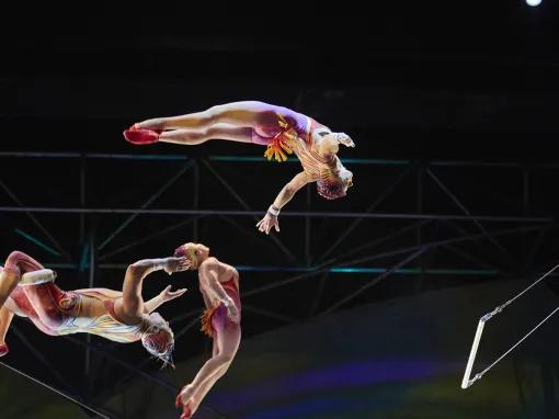 Mystère Cirque du Soleil