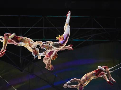 Mystère Cirque du Soleil