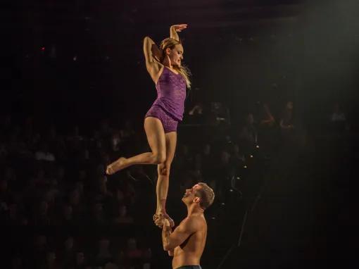 LOVE Cirque du Soleil