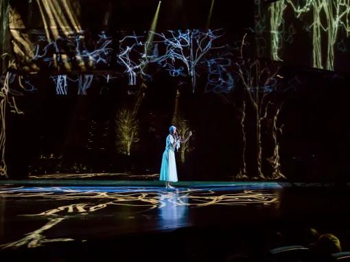 LOVE Cirque du Soleil