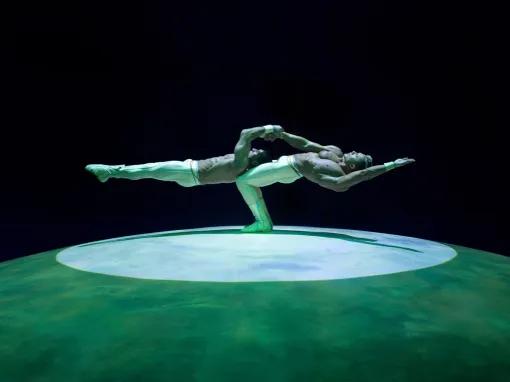 Mystère Cirque du Soleil