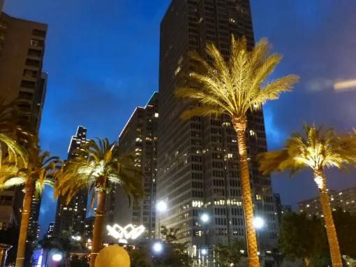 San Francisco Night Tour